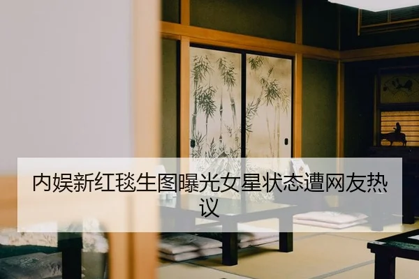 nei-yu-xin-hong-tan-sheng-tu-bao-guang-nv-xing-zhuang-tai-zao-wang-you-re-yi-2-287.jpg