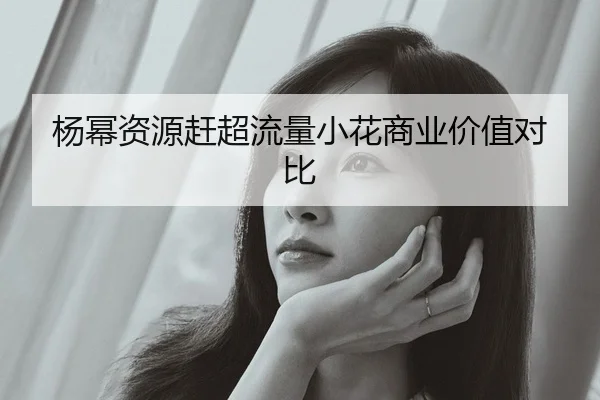 杨幂资源赶超流量小花商业价值对比